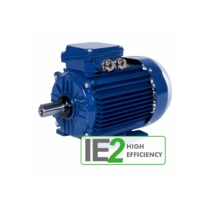 Elektrim Cantoni Motor