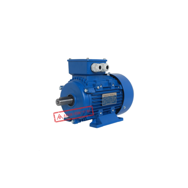 Alliance Motori A-Y3A Series Three Phase Asynchronous Motor