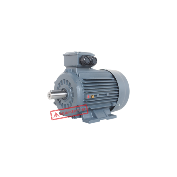 Alliance Motori A-Y3H Series Three Phase Heavy Duty Range - IE1, IE2, IE3