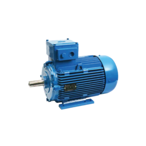 MarelliMotori Explotion Proof Motor Type D5C & D6C