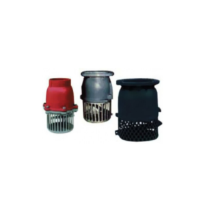 Ebara Foot Valve