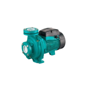 Leo ACBF4