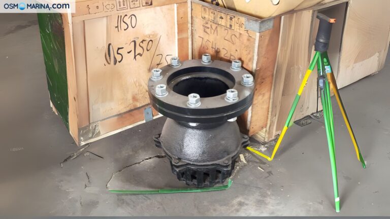 foot valve