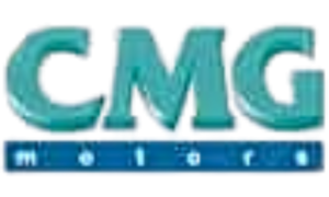 CMG Elektrik Motor