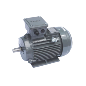 Teco Motor AESV2S