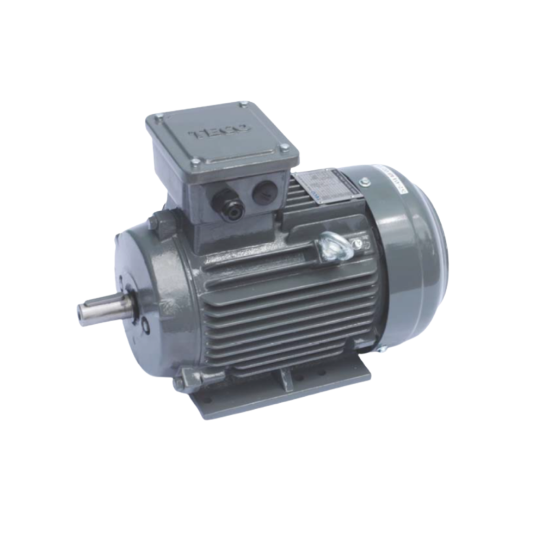 Teco Motor AESV2S - motor induksi 3 fase IE2 | Osmo Marina